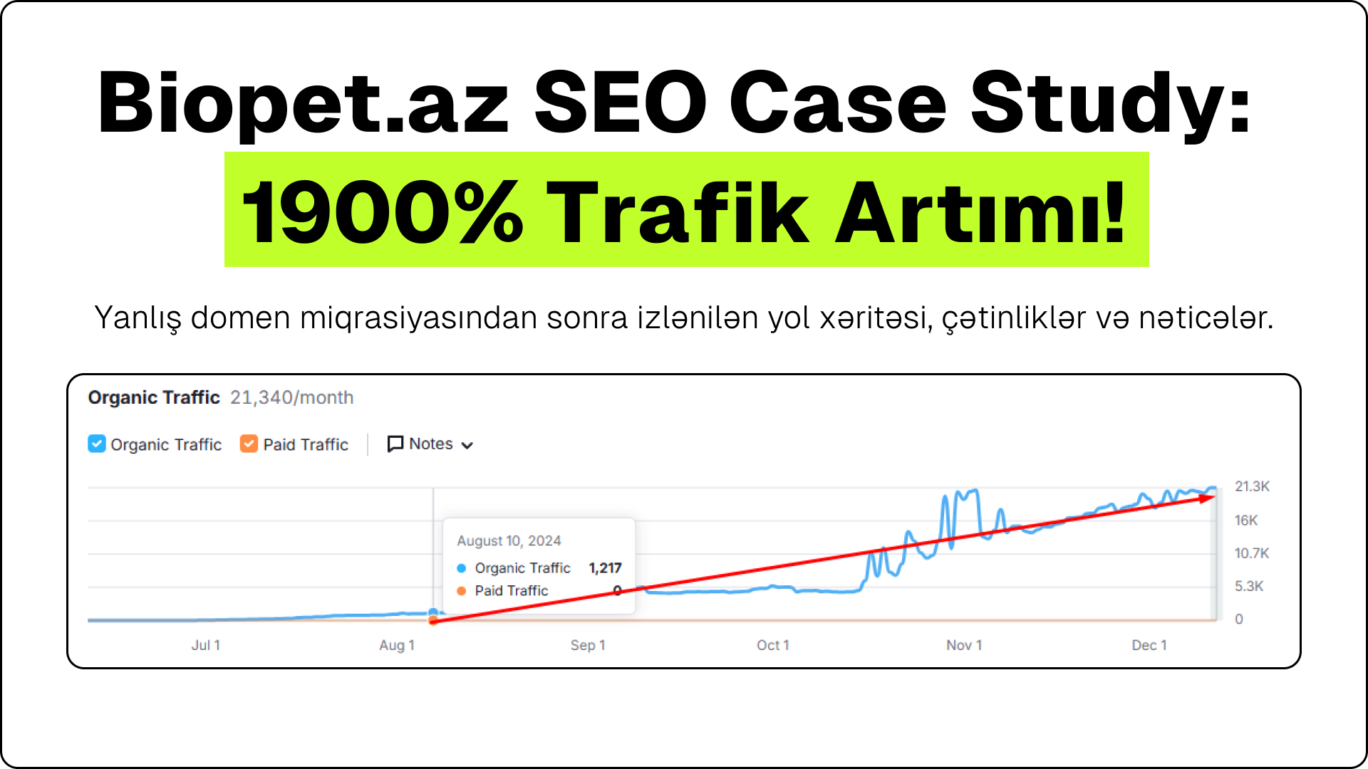 Biopet.az SEO Keys: Sayt Trafikində 1900% Artım!